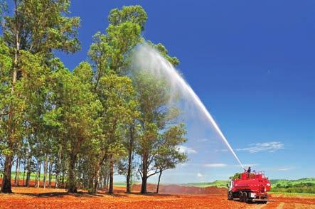 Em resíduos agroindustriais como bagaço de cana, serragens e outros.