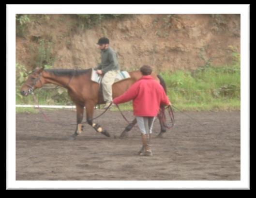 ACTIVIDADES A DESENVOLVER 1. Ensino 2. Treino 3.