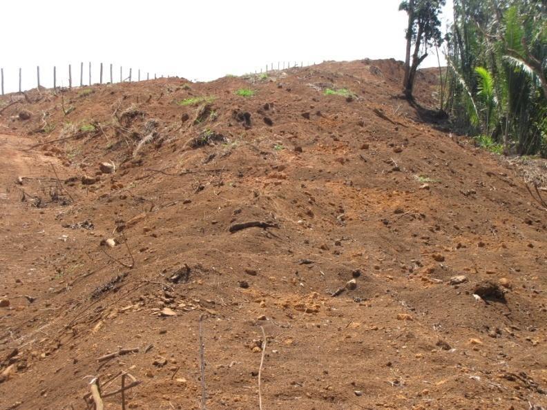 Uso do Top Soil na restauração de áreas