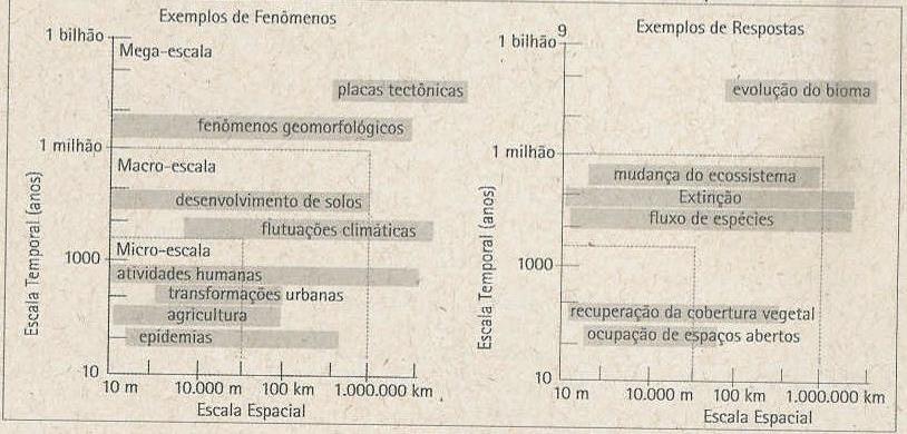 Escala temporal escala de ocorrência X escala de resposta Fonte: Santos, 2004) Representação dos planos de