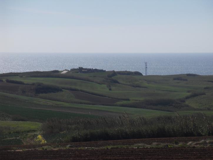 1C Agricultura à beira-mar - Estrada