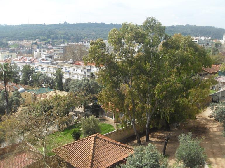 3C Lisboa vista de cima - Jardim Zoológico de