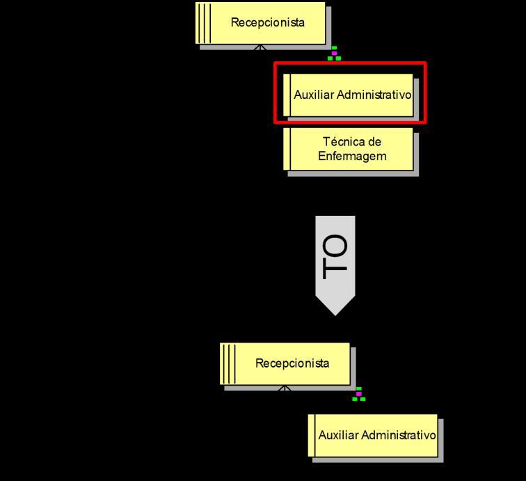 198 Figura 6.26 Parametrização do modelo organizacional Recepcionista.
