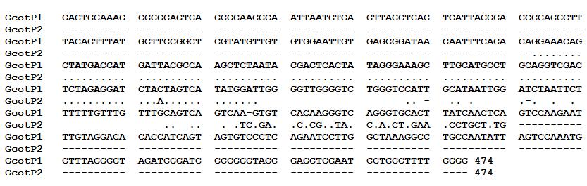 Programa de Pós-Graduação em Biologia Evolutiva 49 Figura 2: Alinhamento das Sequências clonadas de G.paraguensis.