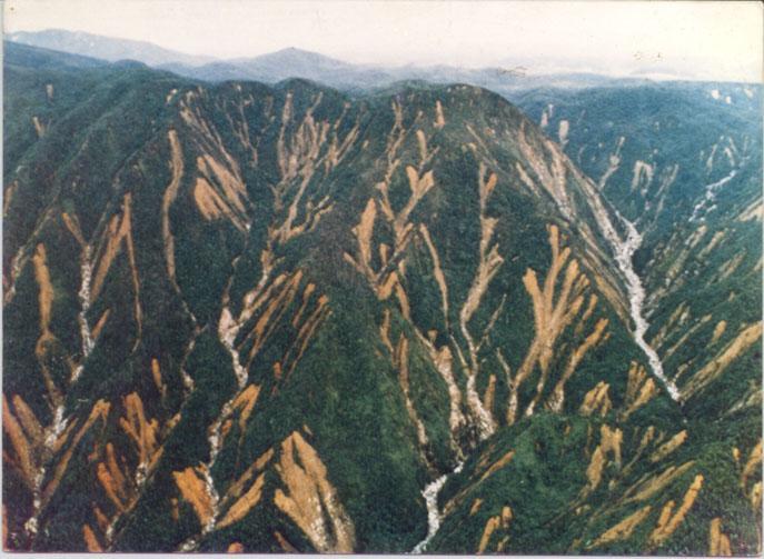 DEBRIS FLOW OF 1985 (84mm/1h; 265mm/1day) Moderate damage Decision to implement some