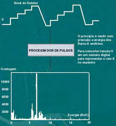 Microanálise (EDS) EDS processador de pulsos: A função primordial do processador de pulsos é determinar com precisão a energia dos fótons