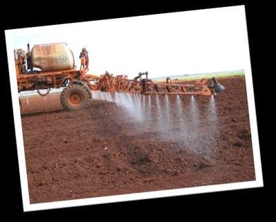 de capim-braquiária 49 Aplicação do herbicida em pré-emergência