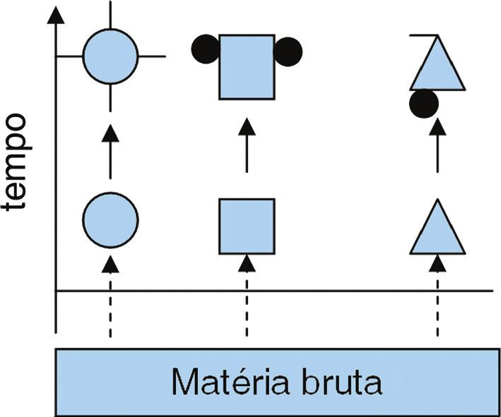 Jean Baptiste Lamarck (1744-1829) foi um dos primeiros pensadores a perceber que os fósseis são uma forte evidência para a evolução das espécies.