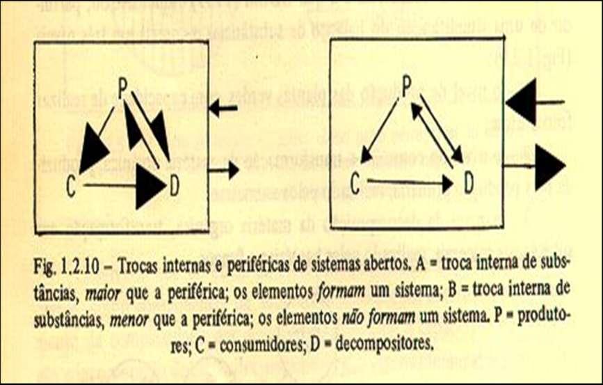 SISTEMAS E NÃO SISTEMAS SCHÄFER, A.