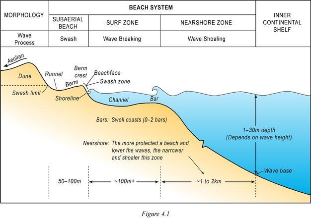 O sistema praia An idealised cross-section of a wave-dominated beach system consisting of the swash zone which contains the subaerial or 'dry' beach (runnel, berm, and beach face) and is dominated by