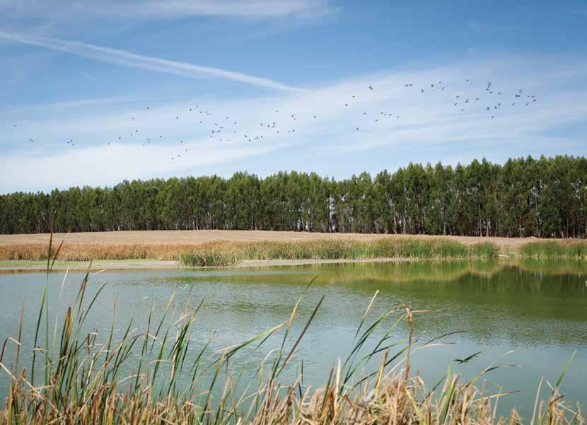 5.3. ÁGUA E AMBIENTE A The Navigator Company orgulha-se do seu programa avançado de melhoria permanente da componente ambiental, procurando ir mais além do que são as exigências da legislação,