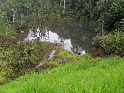 Doce. Os máximos valores de condutividade elétrica detectados em campo foram de 14 μs/cm (ponto 1 e período de seca) e 9 μs/cm (ponto 3 e período chuvoso).