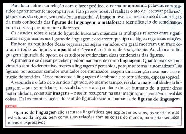 O conceito de figuras de linguagem ocorre com vistas à construção de sentidos e é dado e comentado a partir de um texto.