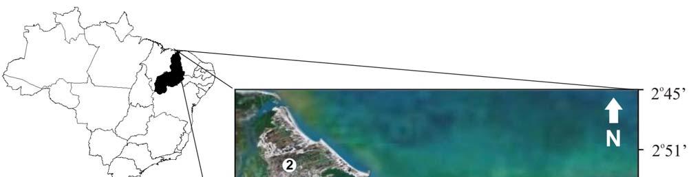 Figure 1. Study area. Satellite image of the coastal zone of the state of Piauí, Brazil, showing the sites investigated.