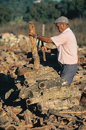 AGLOMERADO CORTIÇA