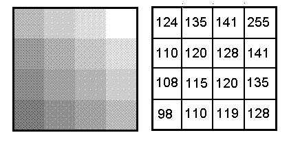 17 Figura 1 é possível observar a numeração atribuída (b) no processo de digitalização da imagem (a) em relação aos vários tons de cinza.
