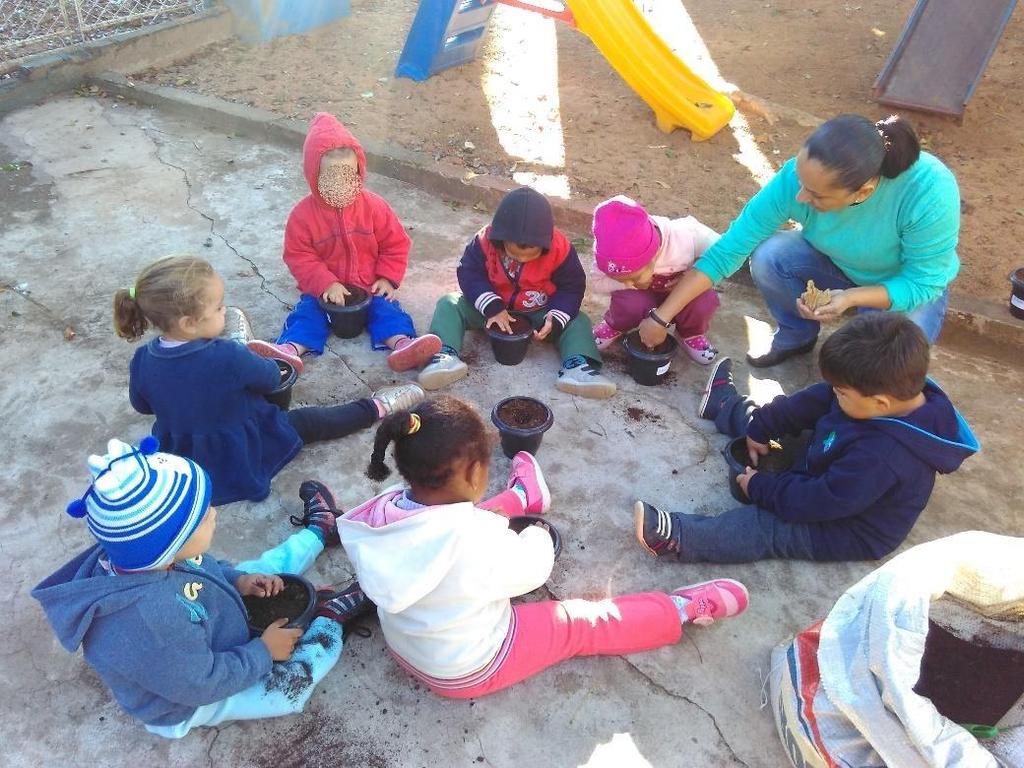 Na escola não existe espaço para jardins, as flores citadas anteriormente, são cercas vivas que fazem a divisão entre o terreno da escola e uma chácara ao lado, sendo assim, decidimos fazer o plantio