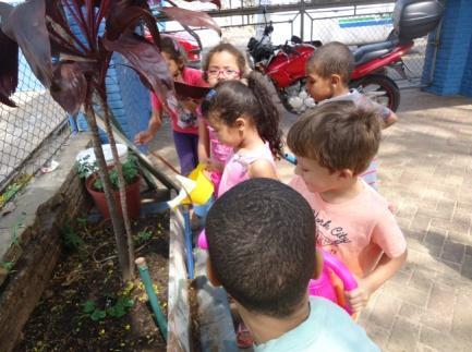 Brincar no jardim da escola era a reivindicação diária e passou a fazer parte da rotina. Compartilhando do interesse e da curiosidade manifestados pelas crianças iniciamos a atividade.