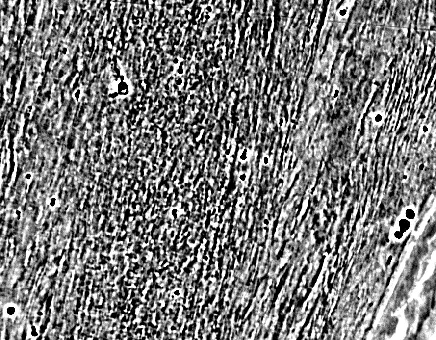 micrografias representativas da região de cisalhamento obtidas com esta técnica de microscopia eletrônica.