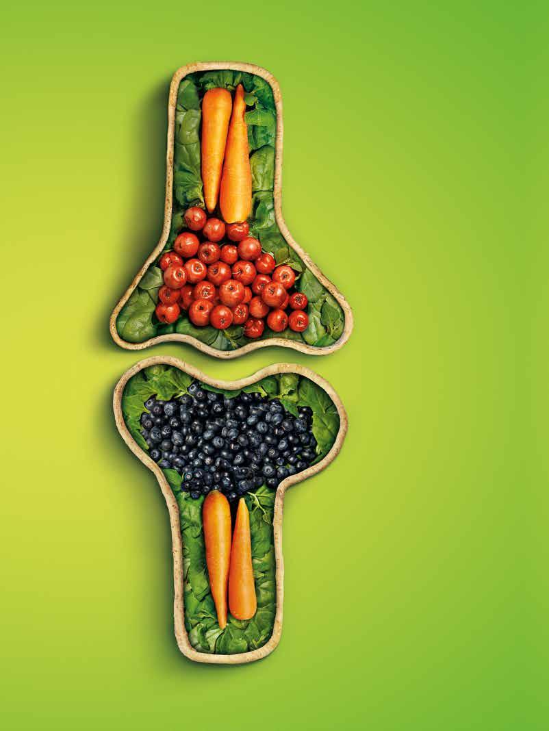 Dê à sua saúde a melhor opção diária em nutrientes e fitonutrientes NUTRILITE Daily Plus fornece 12 vitaminas, 10 minerais essenciais e fitonutrientes.