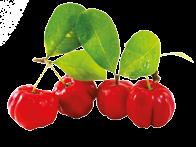 Cada cor de alimento de origem vegetal azul/roxo, vermelho, branco, verde, vermelho e laranja/amarelo possui diferentes fitonutrientes.