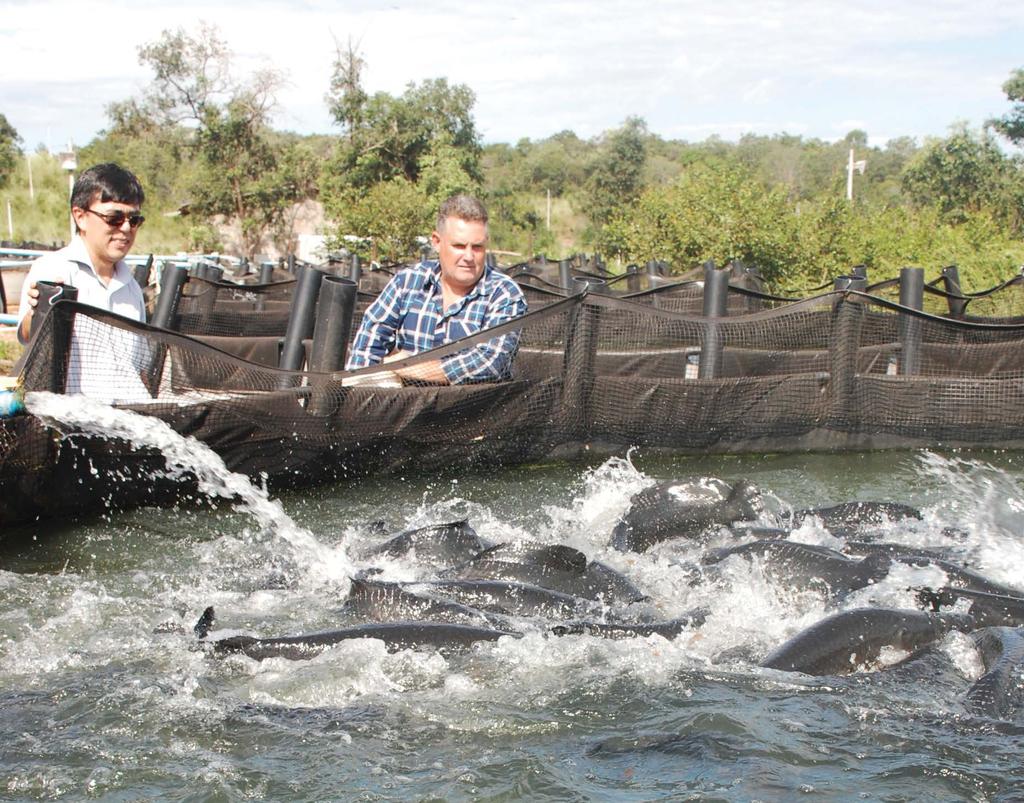 Espécies Peixes marinhas nativos na Galícia A produção de peixes nativos Proprietário da Aliança Indústria Pesqueira, Edvaldo Martins, e o consultor da Acqua Imagem (à esquerda), avaliando a condição