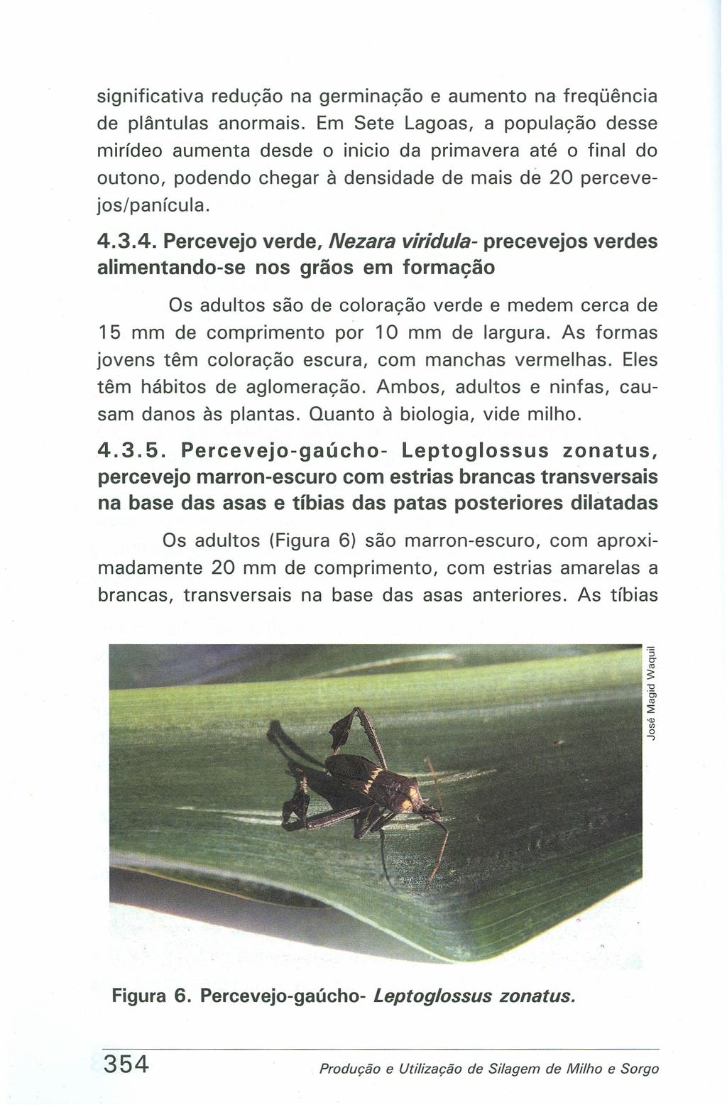 significativa redução na germinação e aumento na freqüência de plântulas anormais.