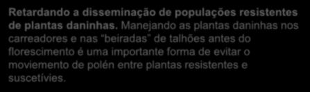 colheita podem influenciar o ciclo de vida das plantas daninhas, e portanto proporcionar vantagem competitiva para a cultura.