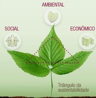 ü Manifestações patológicas: Interferem na durabilidade das estruturas à Caminha paralelamente com a sustentabilidade; ü A preocupação com anomalias nas estruturas leva a estruturas