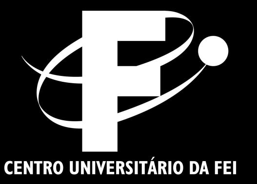 LUIZ BARCO PROF. DRA. CECILIA RUBIRA PROF. DR. ROBERTO BAGINSKI USP UNICAMP FEI Prof.