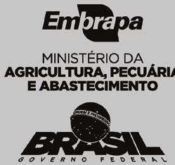 6 Recomendações Técnicas para Diagnóstico, Identificação de Agentes e Controle da Mastite Circular Técnica, 175 Exemplares desta edição podem ser adquiridos na: Embrapa Clima Temperado Endereço: BR