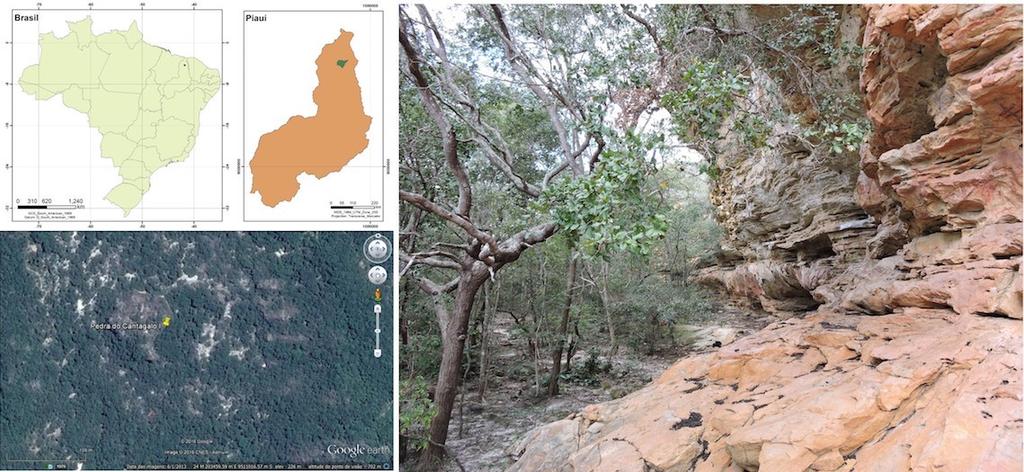Antecedentes Embora existam relatos sobre o conhecimento de sítios de arte rupestre em território piauiense desde o fim do século XVIII e início do século XIX (ARARIPE, 1886; publicado em 1887), os