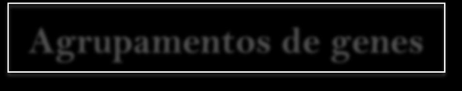 Vantagens: Padrão de expressão, geração de variabilidade HISTONAS e rrnas!