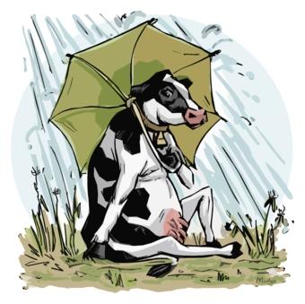 Indicadores: Vacas em lactação/total de Vacas (VL/TV) 86,4% Vacas em lactação/total do rebanho (VL/TR) 35% Intervalo de
