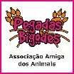 Costa Edição em homenagem ao Dia Mundial do Animal Vadio, 4 de Abril Em cooperação com
