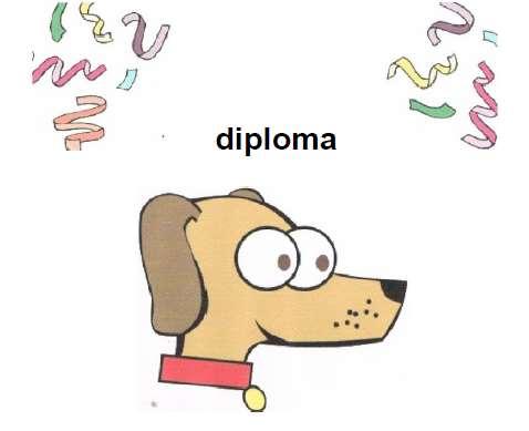 38 Diploma especialista em cães e cães vadios.