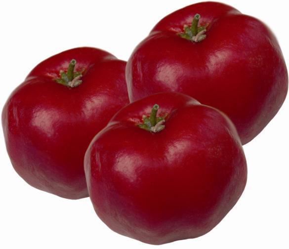 Principais Derivados de Superfrutas Exportados - Acerola Bebidas