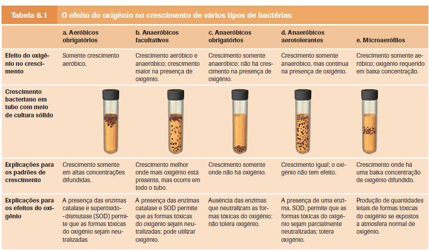 Oxigênio