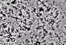 121 4.3.2.4 Análise microestrutural das cerâmicas de SiC As micrografias das misturas N10-β e T10-β