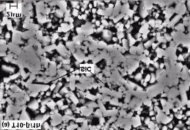 122 Figura 4.39 Micrografias da mistura T10-β re-sinterizada e atacadas por NaOH:KOH (1:1) a 500 o C durante 2 minutos. Na Figura 4.