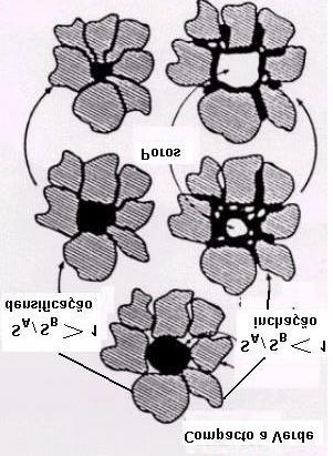 41 Figura 2.13. Influência da solubilidade nos resultados de sinterização [RAHAMAN, 1995]. Estes estágios são mostrados esquematicamente na Figura 2.14.