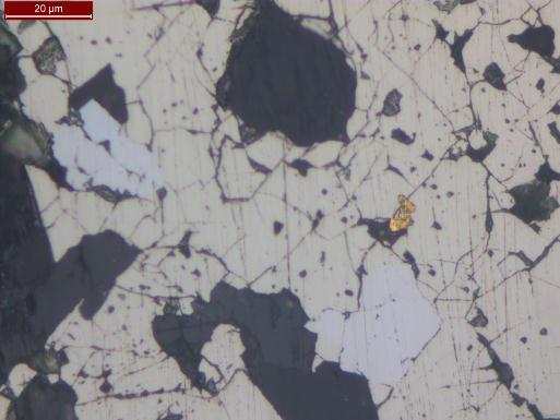 Fotomicrografia 2 Amostra LCPD09-8, 269,09 m Detalhe da pirita arsenical,