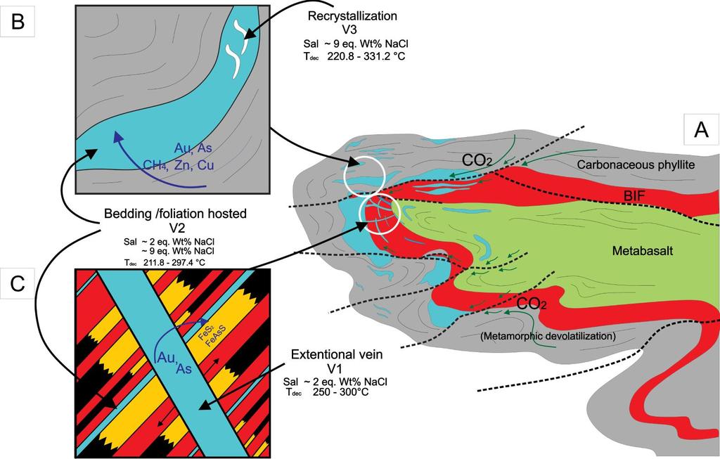 Fig. 12. Schematic hydrothermal fluid model for the gold mineralization at the Cabeça de Pedra orebody, Lamego deposit.