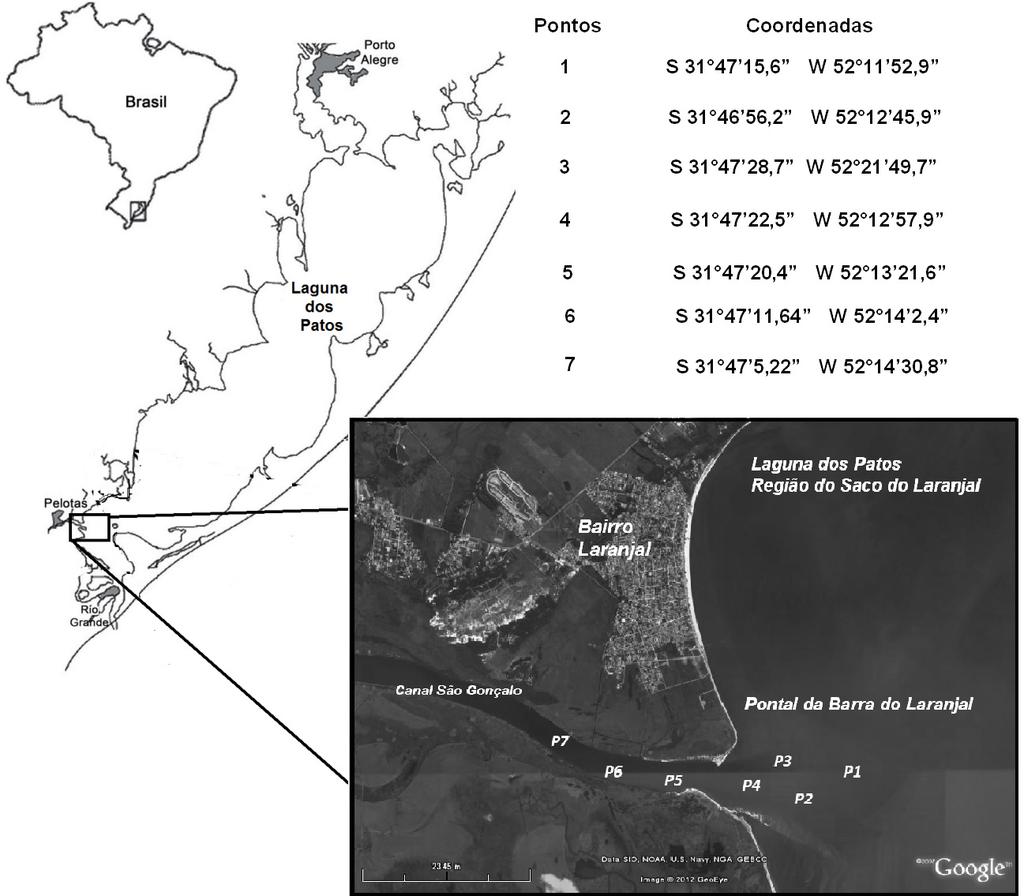 Caldas & Sanches Filho: Análise de metais em região estuarina do sul do Brasil Figura 1 - Localização da Área de Estudo. Fonte: Google Earth, Novembro de 2010, modificado pelo autor.