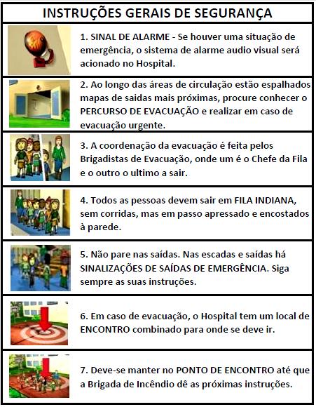 Figura 2: Modelo de Instruções Gerais de Estes estudos e análises foram Segurança.