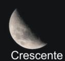 FICHA TÉCNICA DE COLETA Projeto: Monitoramento da Leishmaniose Tegumentar UHE Colíder Fase da Lua Município: Nova Canaã do Norte Localidade: Canteiro de Obras UHE Colíder Data/coleta 18/11/2013