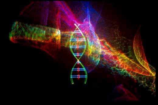 DO DNA AO PRODUTO GÊNICO DNA FORENSE E CLINICO FORS 241 Forensic DNA Profiling (3) Anderson The course