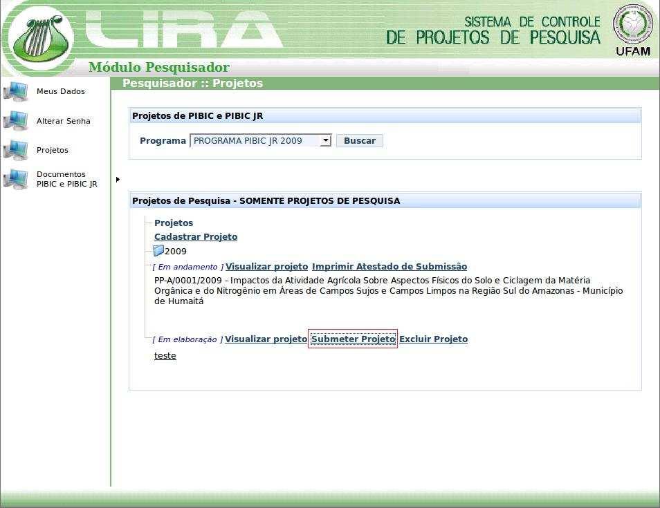 Grande Área área do projeto. Área sub-área do projeto. Título do projeto nome do projeto. Resumo resumo do projeto. Palavras Chaves termos associados ao tema do projeto.