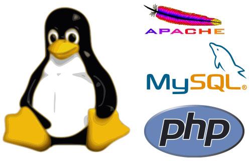 + LAMP Linux + Apache + MySQL + PHP/ Perl/Python CCMP0054 -
