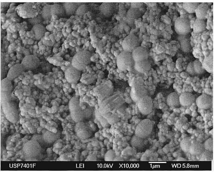 112 Figura 40: Imagem obtida através de microscopia eletrônica de varredura de bioiogurte fermentado por S. thermophilus e L. acidophilus, suplementado no ponto ótimo (LAOT) ~y.